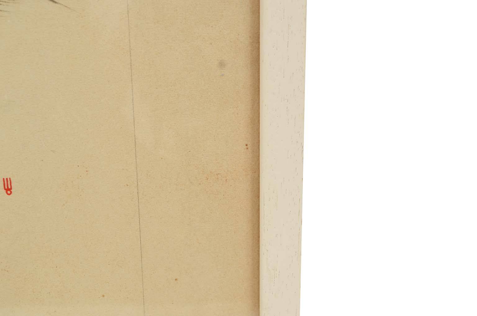 Natural history/578A8-Zoological plate