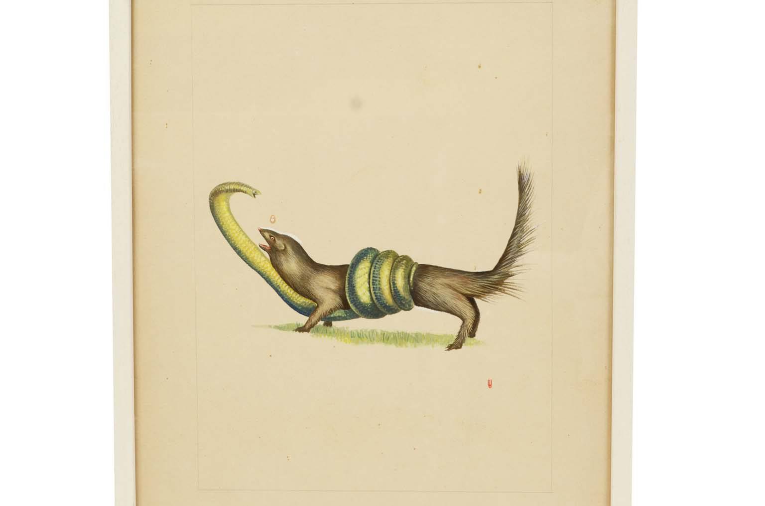 Natural history/578A8-Zoological plate