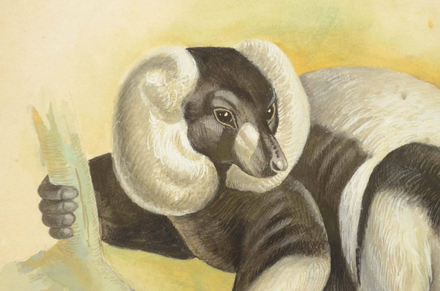 Storia naturale/578A9-Tavola zoologica