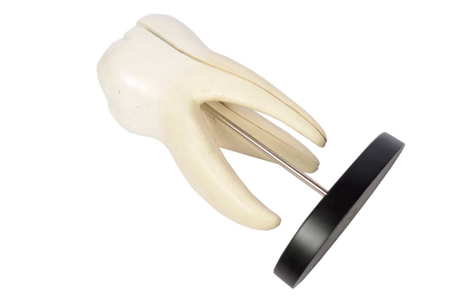 Old medical instruments/5803-Model of molar tooth