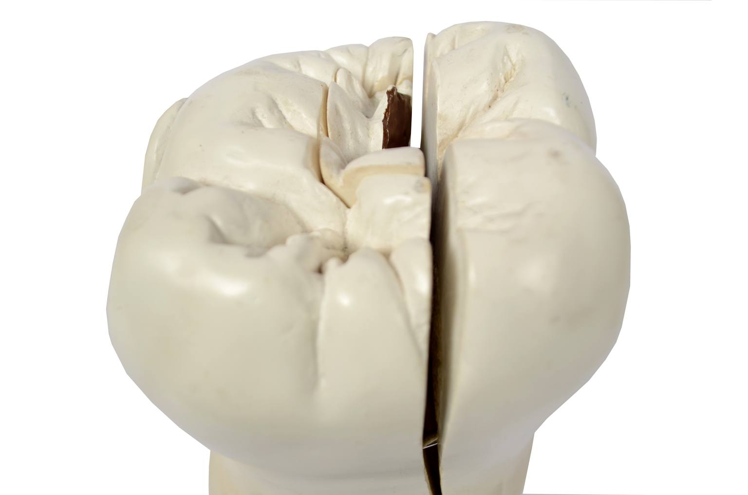 Old medical instruments/5803-Model of molar tooth