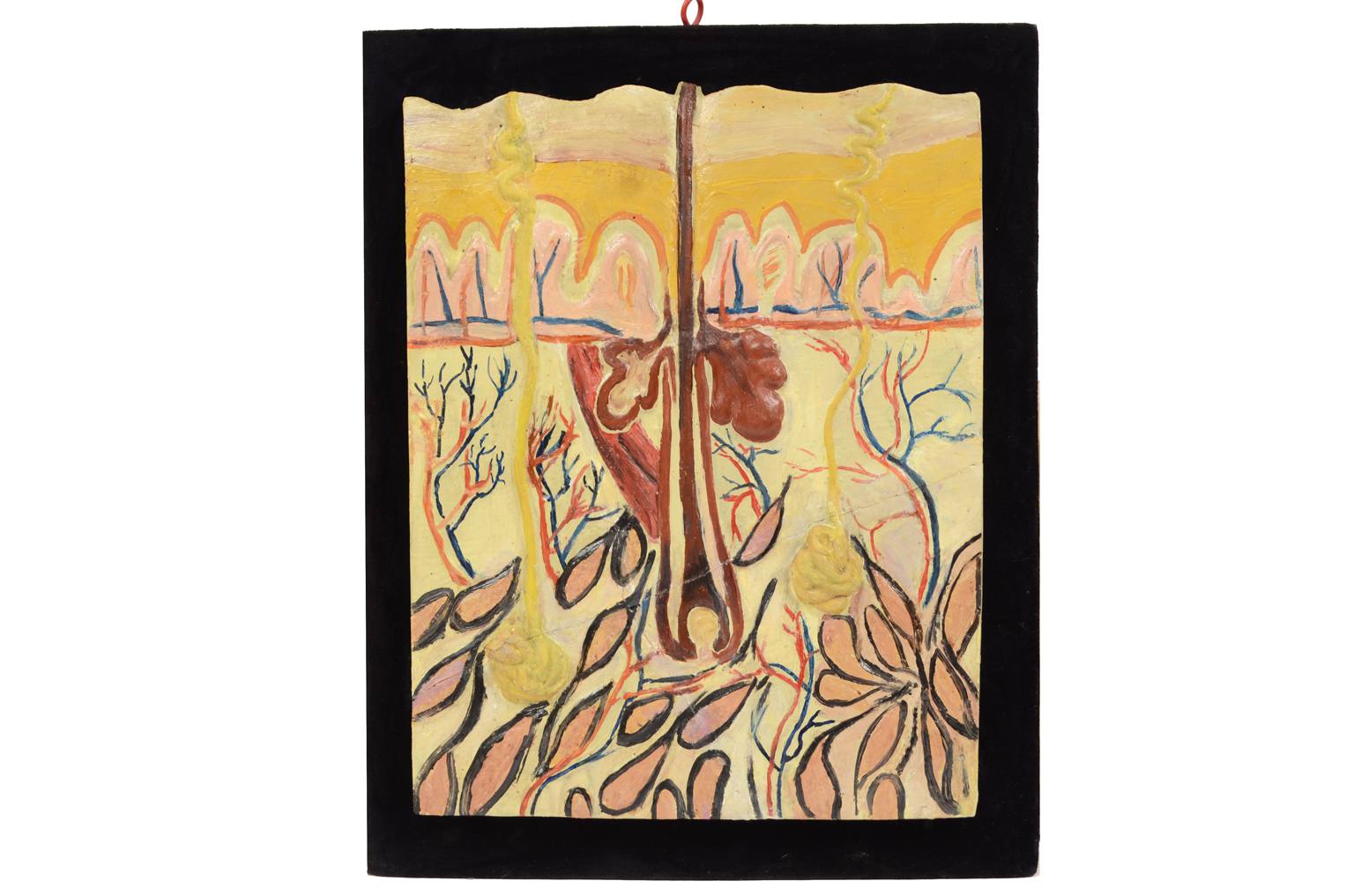 Strumenti medici d'epoca/583A-Tavola anatomica