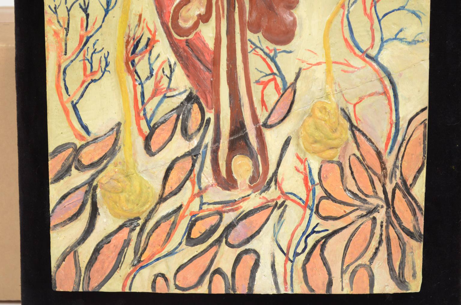 Old medical instruments/583A-Anatomic model