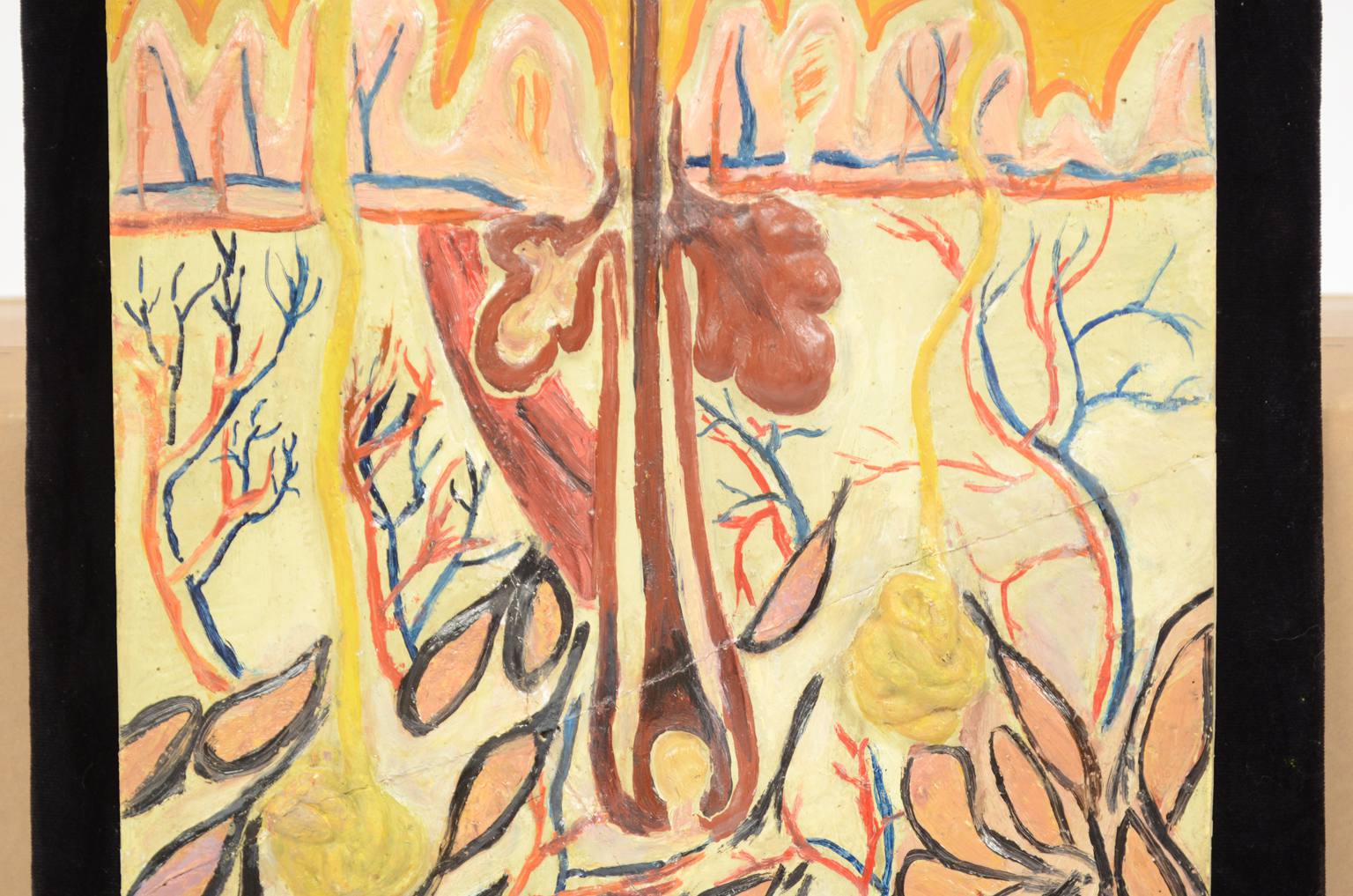 Old medical instruments/583A-Anatomic model