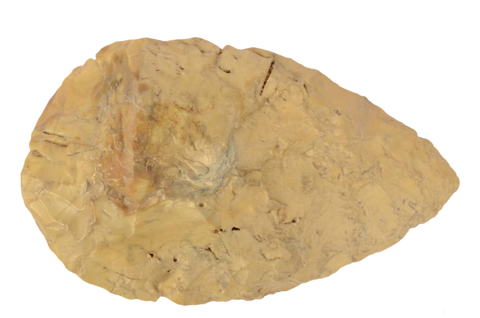 Storia naturale/5910-Amigdala paleolitico