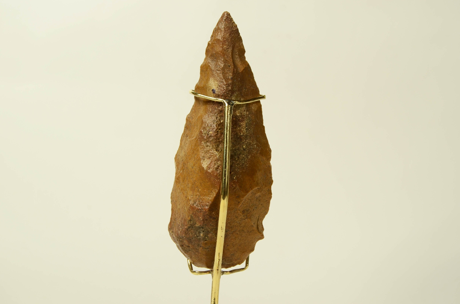 Natural history/5910c-Double-Sided Amygdala