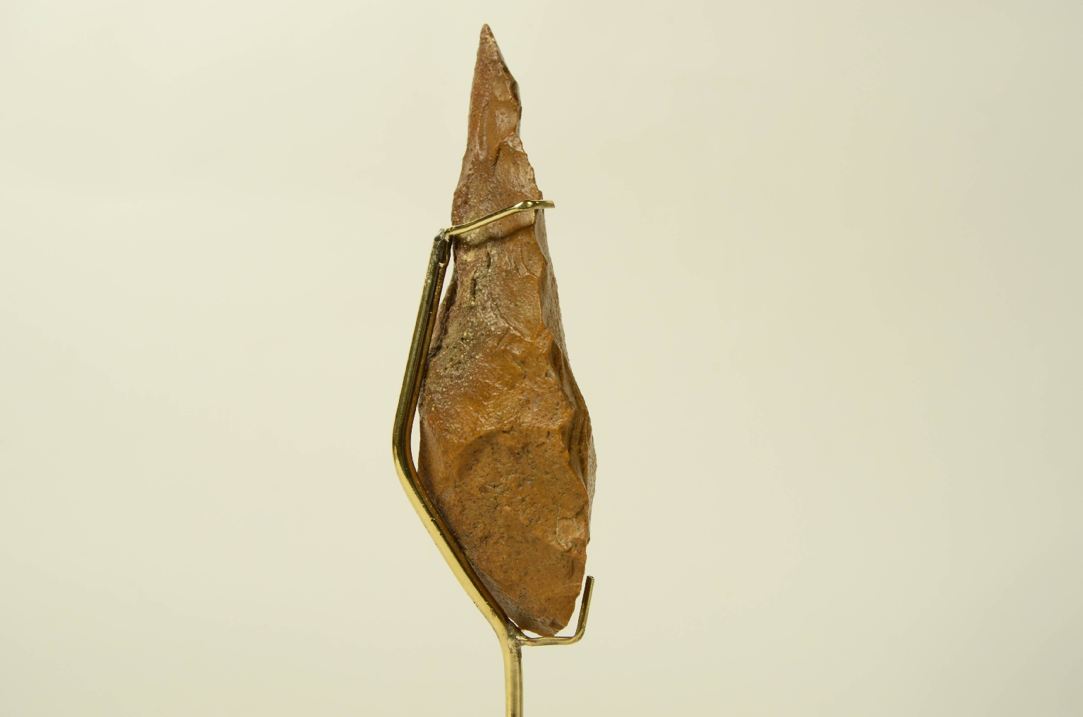 Natural history/5910c-Double-Sided Amygdala