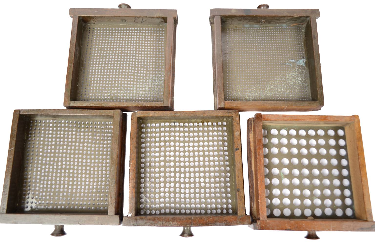 Natural history/5911-Rare cabinet