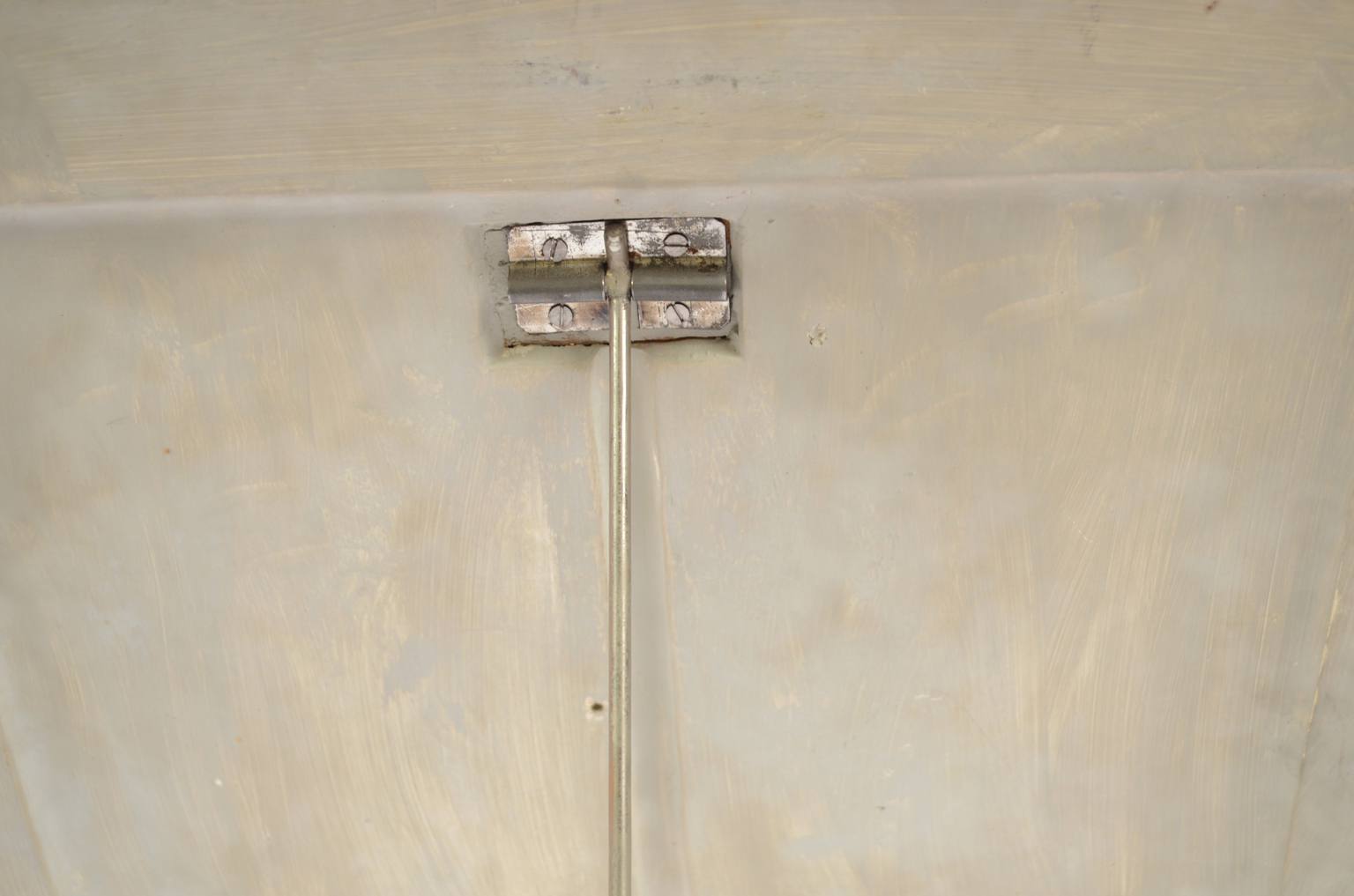 Storia naturale/5937-Malattia vite