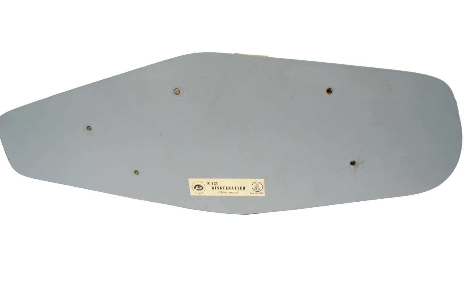 Storia naturale/5996-Modello del serpente