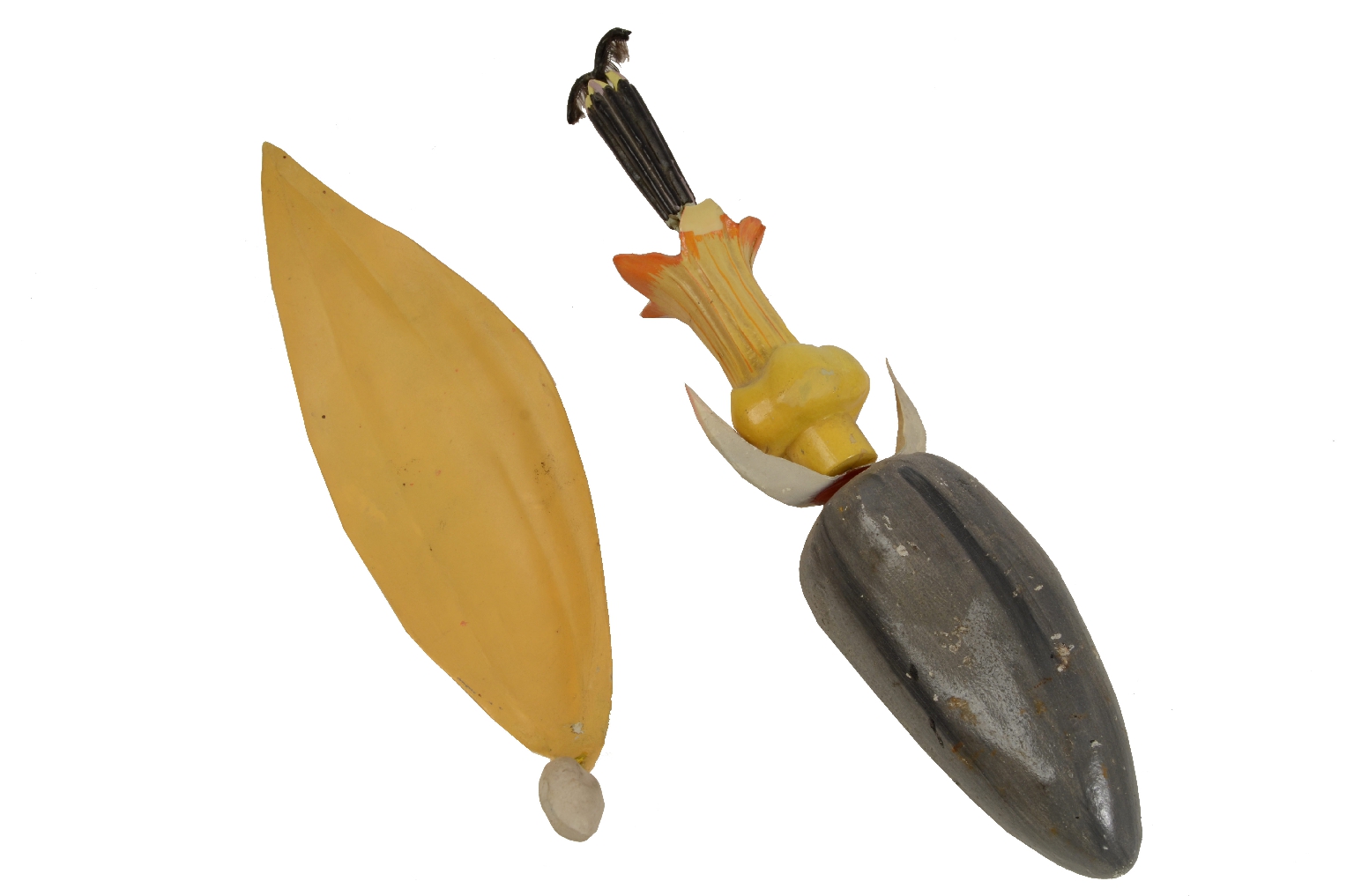 Storia naturale/5X-Passiflora