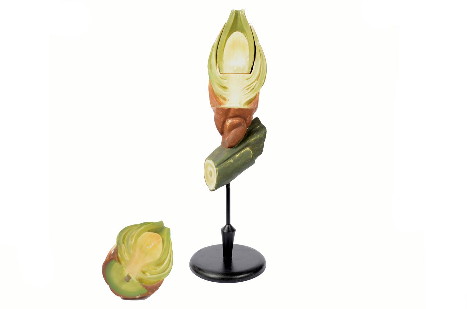 Storia naturale/6027-Seme del tasso