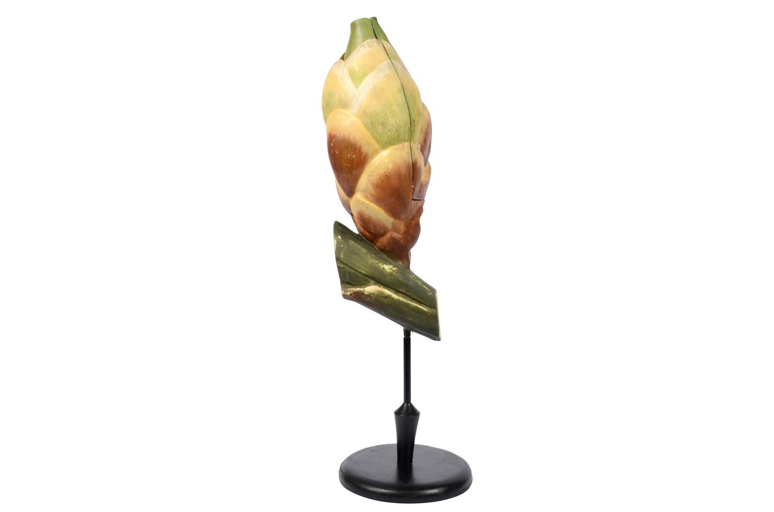 Storia naturale/6027-Seme del tasso