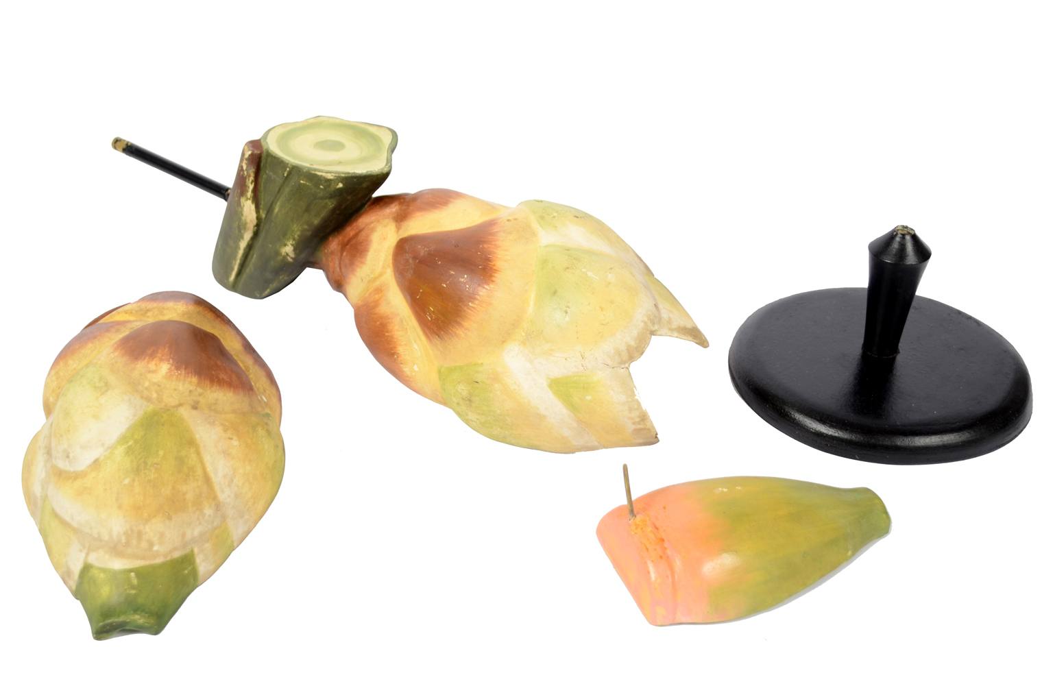 Storia naturale/6027-Seme del tasso