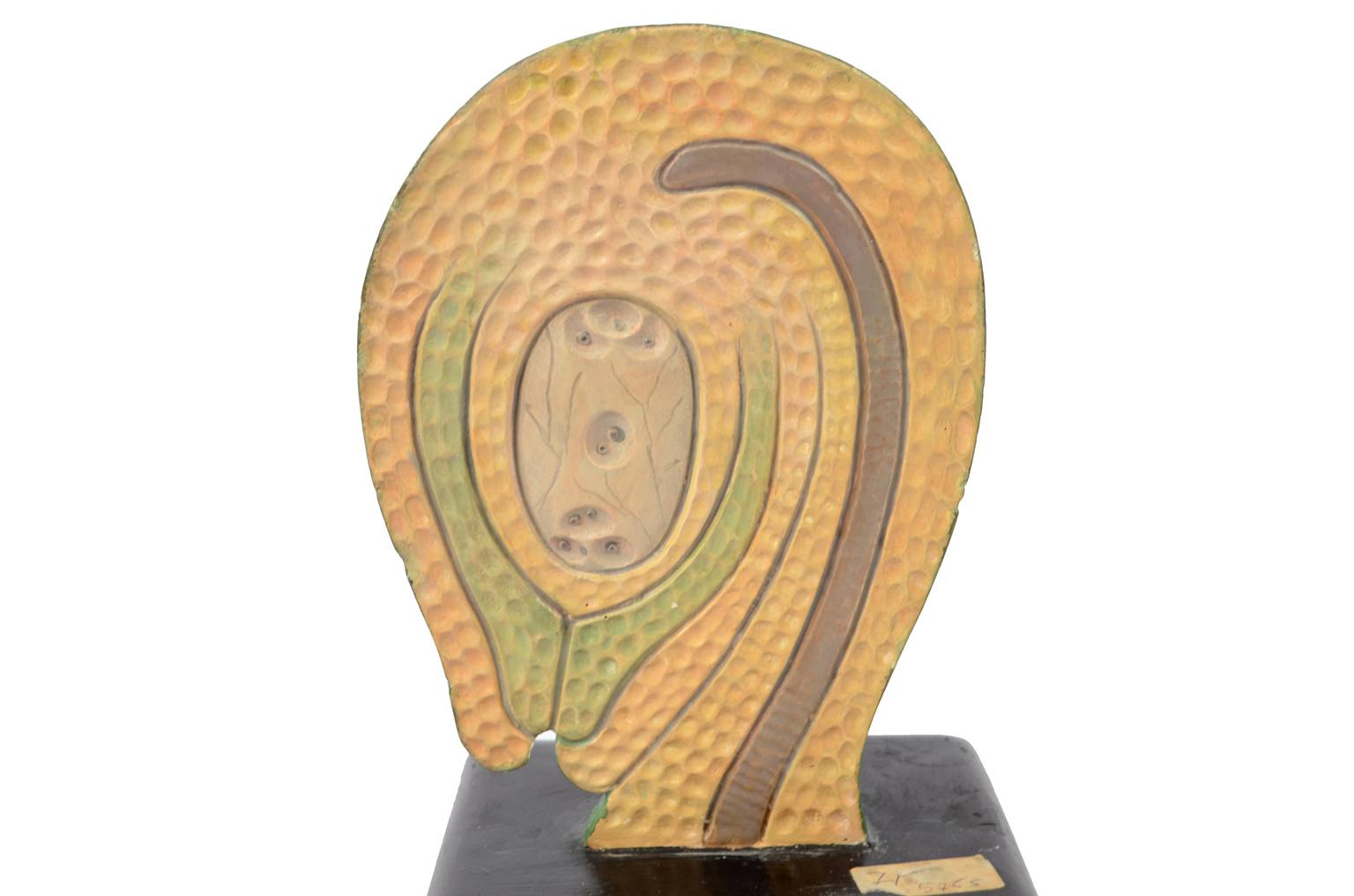 Storia naturale/6106-Sicono 1930