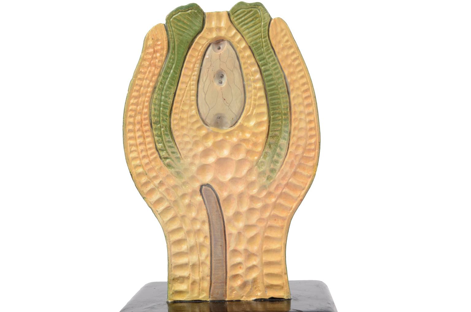 Storia naturale/61061-Sicono 1930