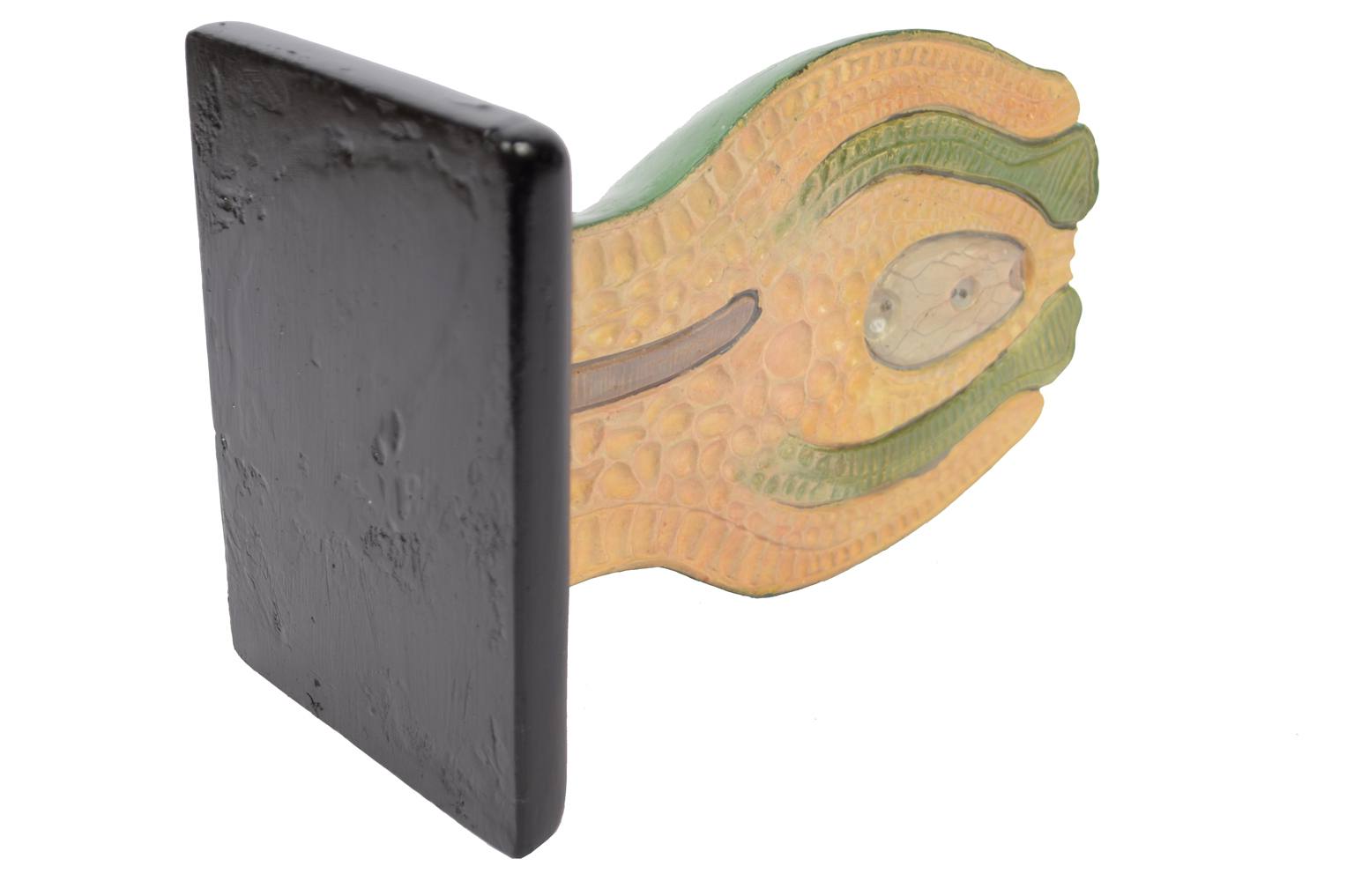 Storia naturale/61061-Sicono 1930