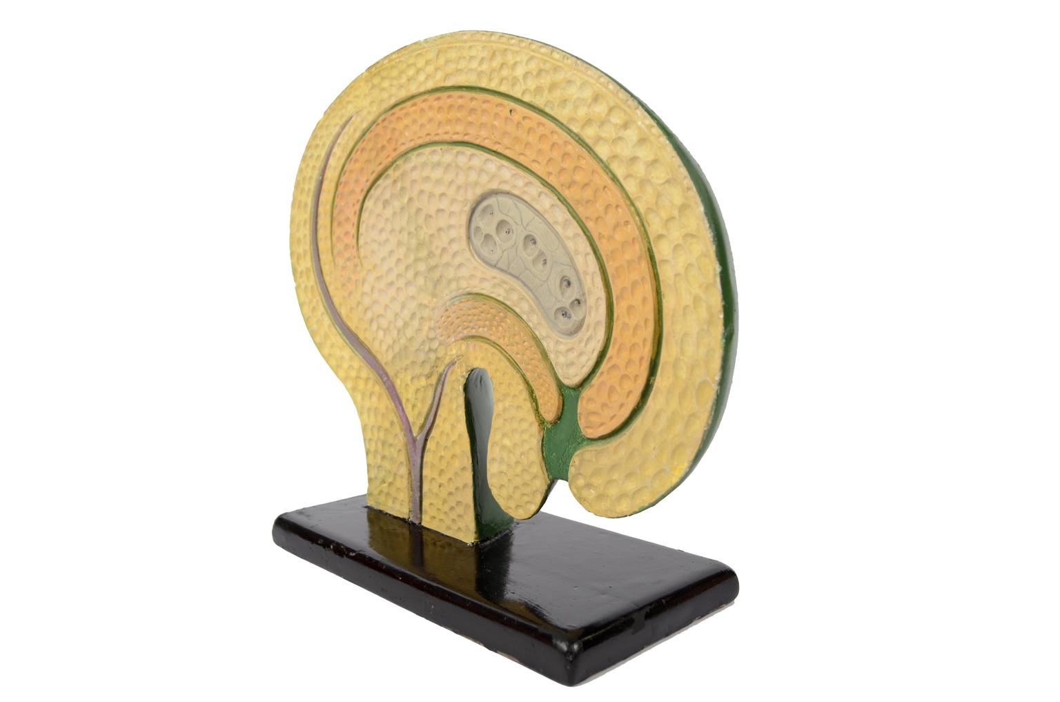 Storia naturale/61062-Sicono 1930