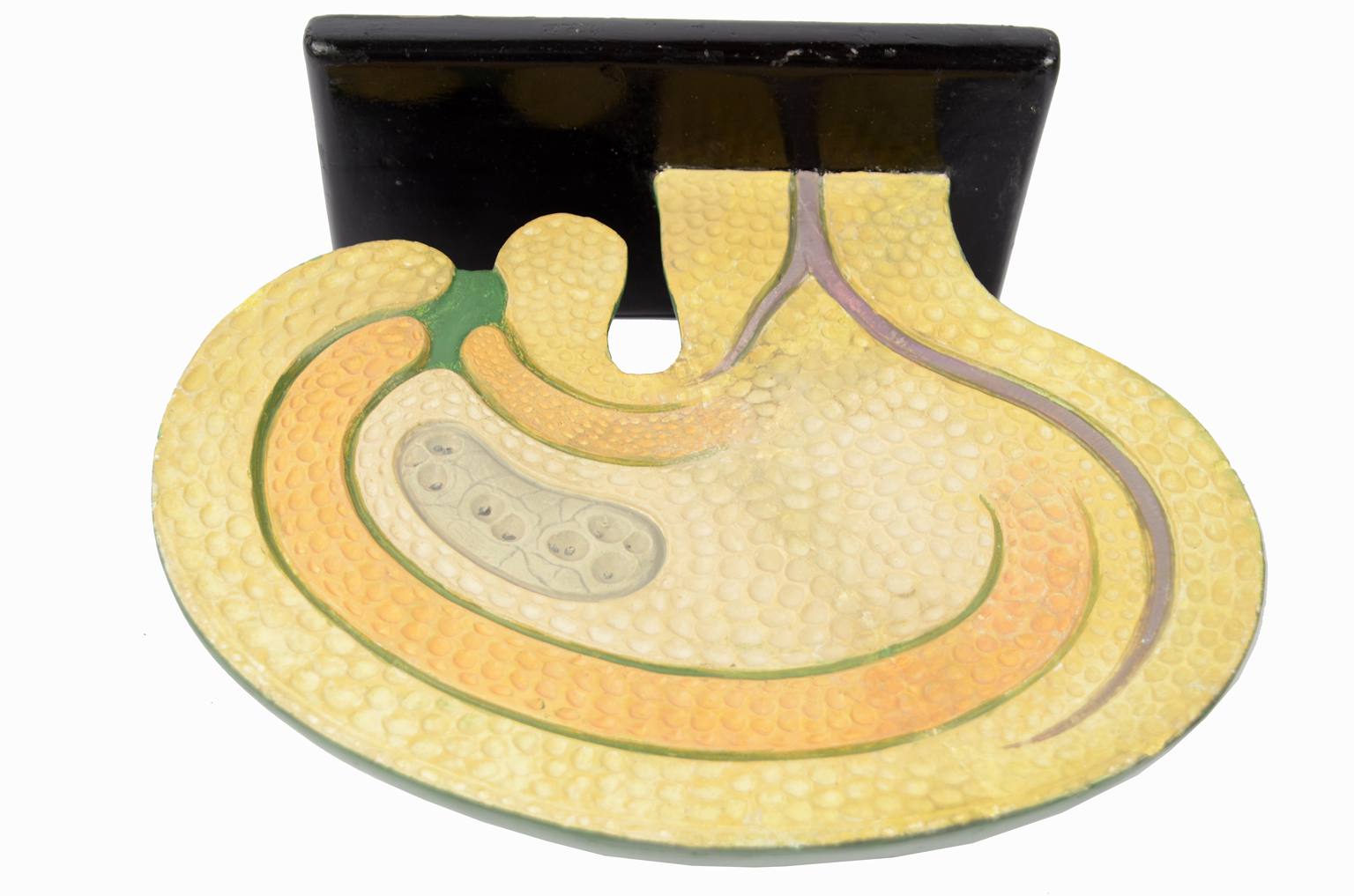 Storia naturale/61062-Sicono 1930