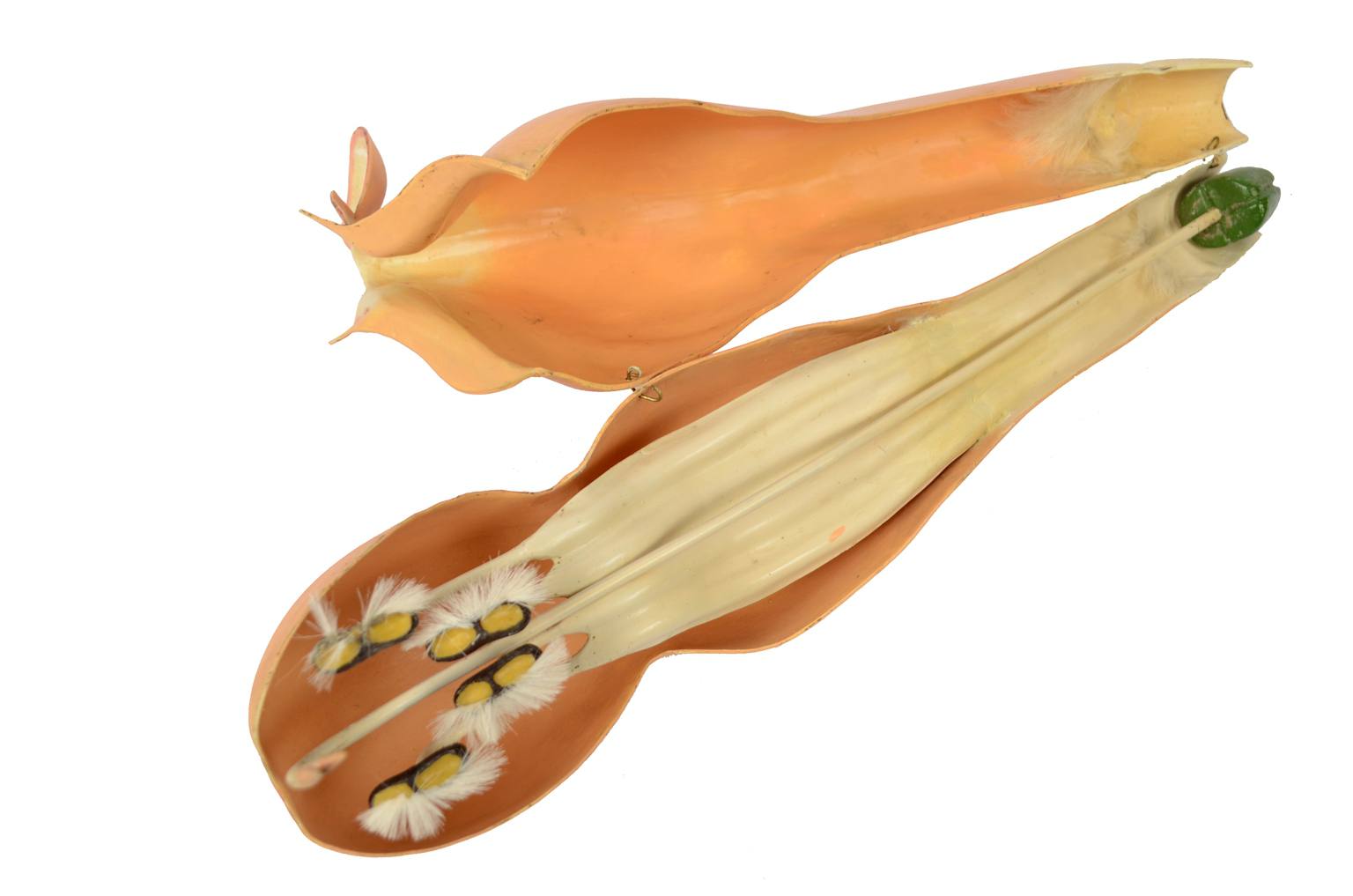 Storia naturale/6108-Lamium purpureum