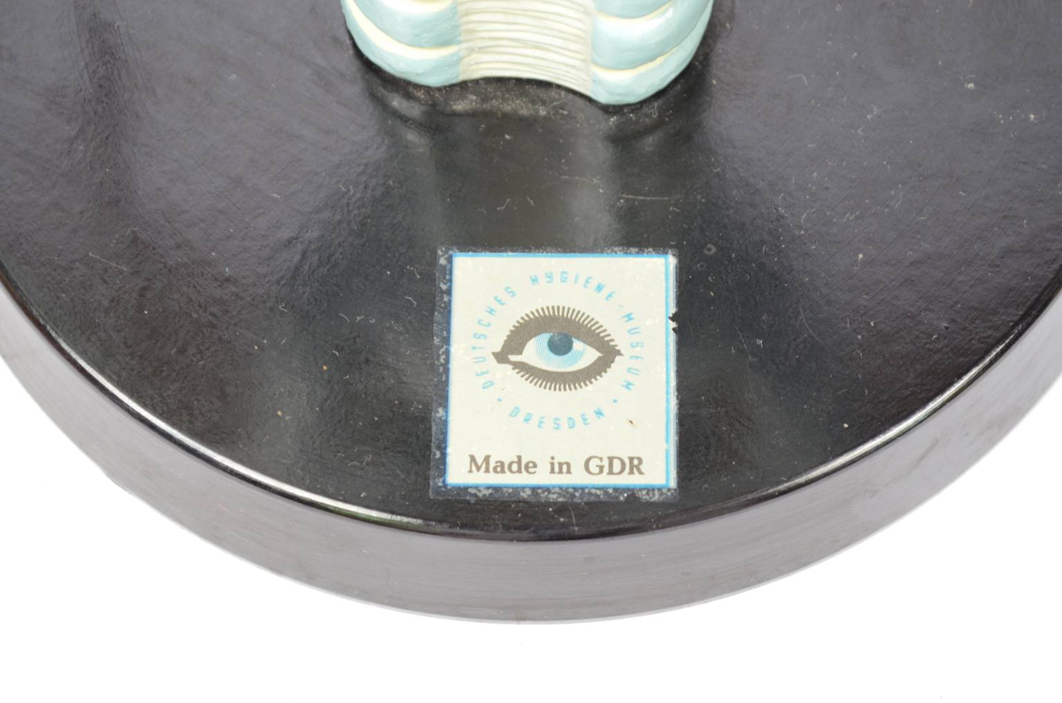 Old medical instruments/6132-Trachea model