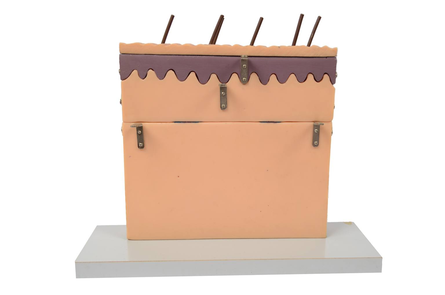 Old medical instruments/6138-Dermatological model