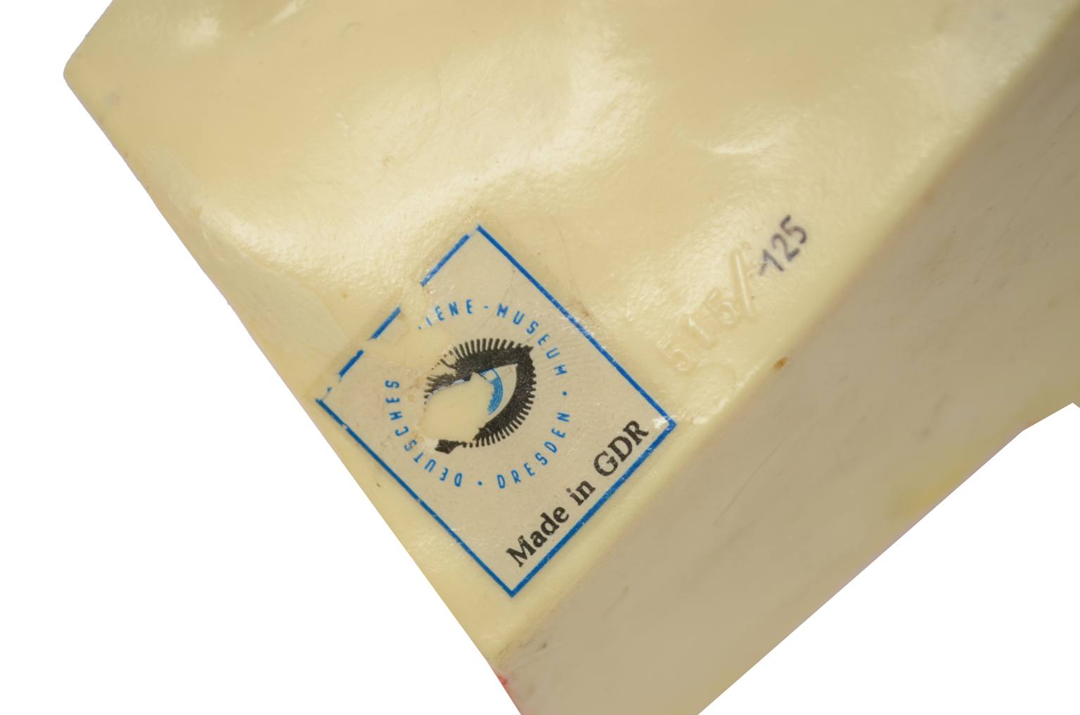 Old medical instruments/6139-Ear model