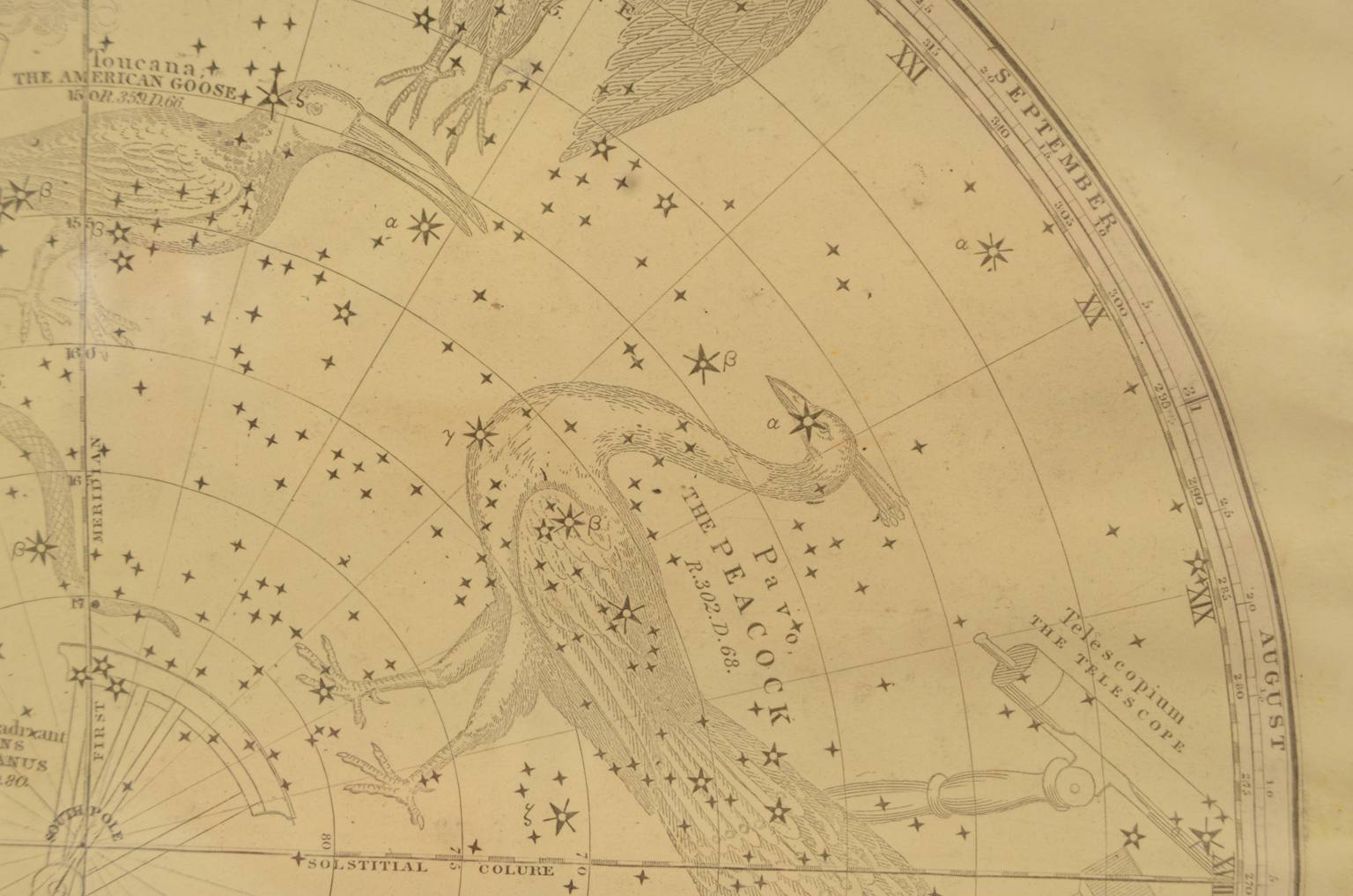 Strumenti astronomici antichi/620-Mappa costellazioni