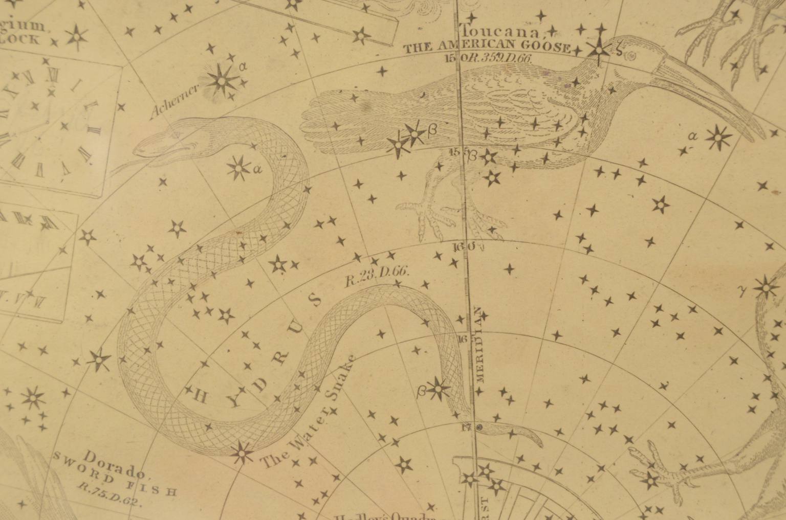 Strumenti astronomici antichi/620-Mappa costellazioni