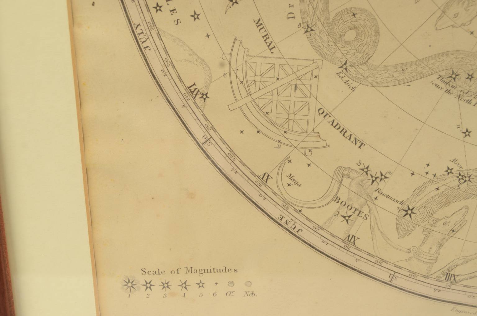 Strumenti astronomici antichi/620-Mappa costellazioni