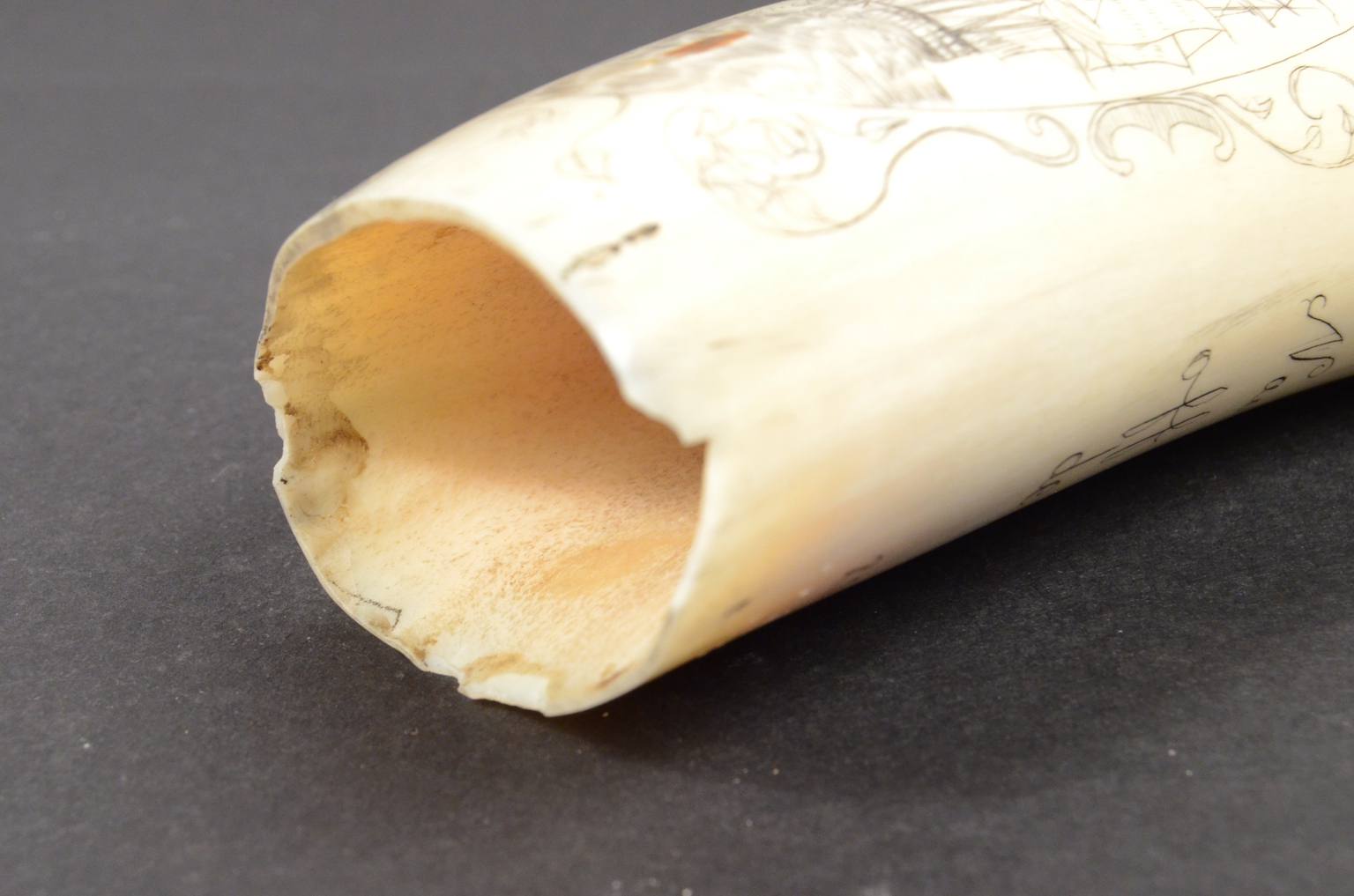 Antiquariato nautico/620B-Scrimshaw