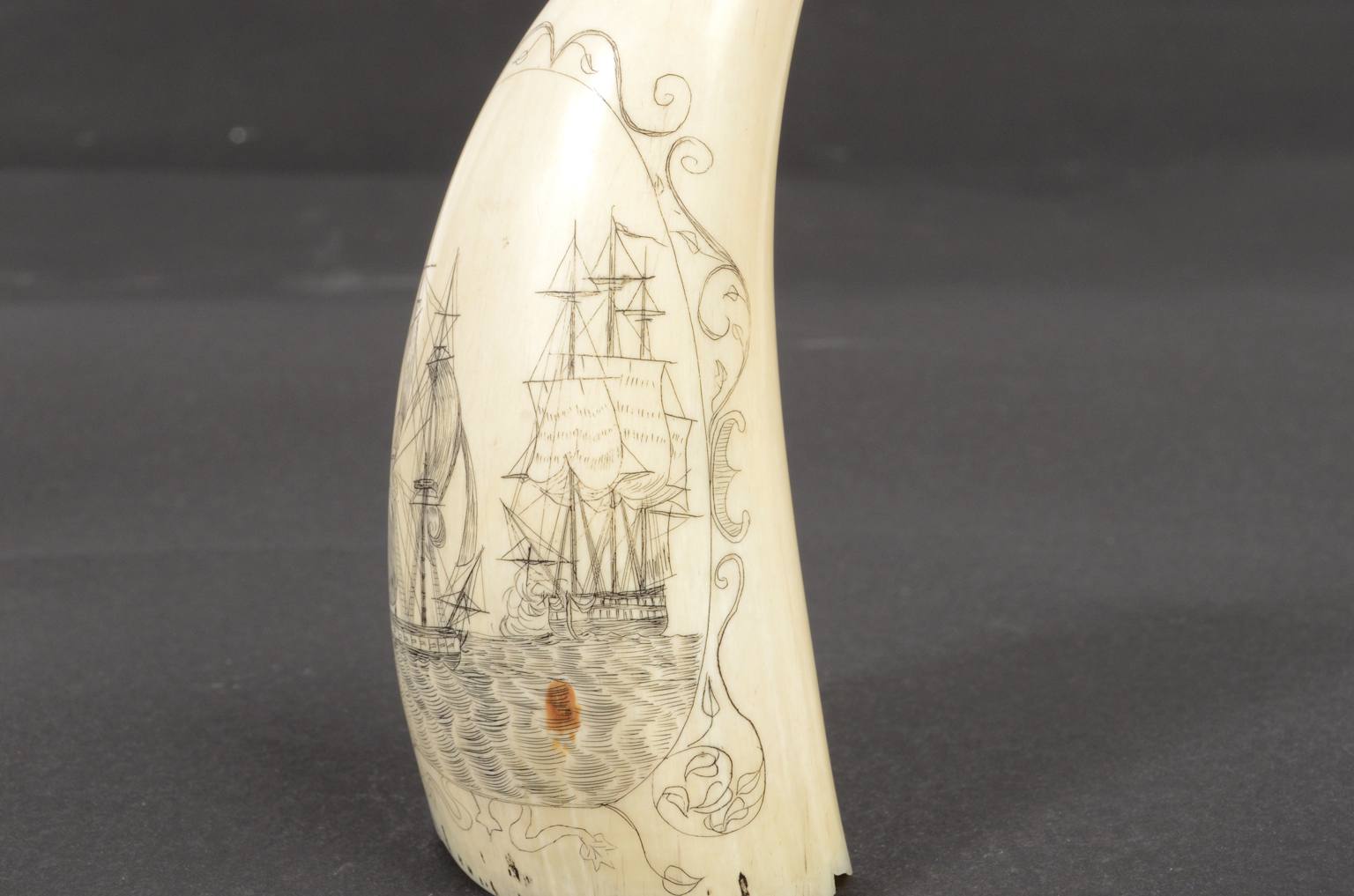 Antiquariato nautico/620B-Scrimshaw