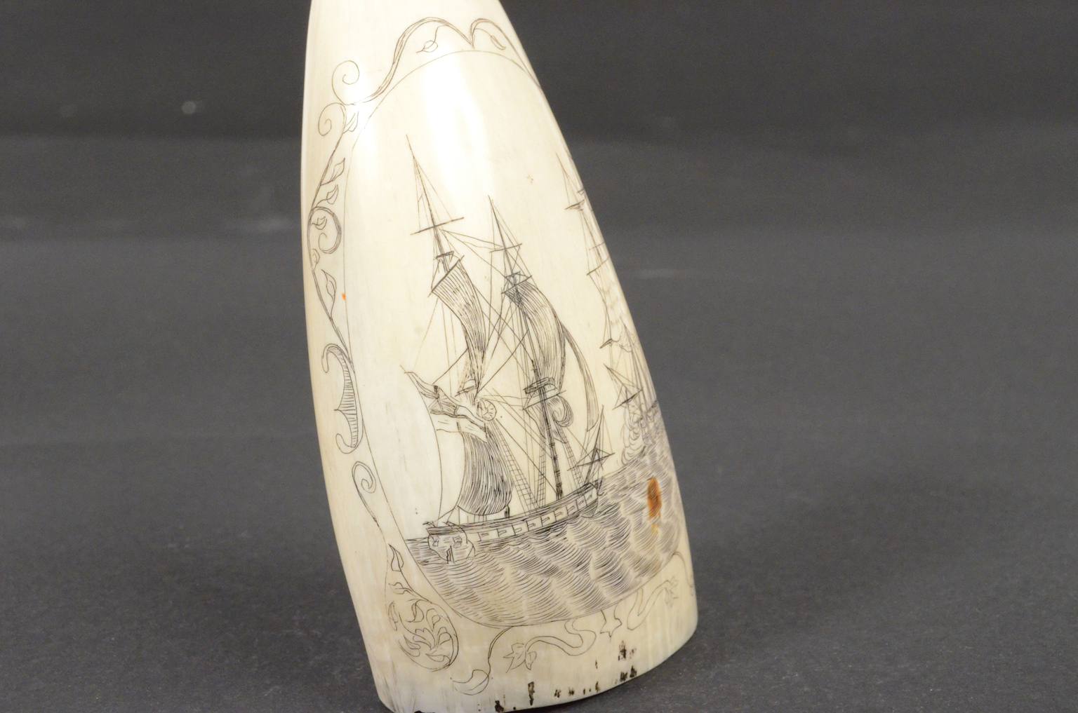 Antiquariato nautico/620B-Scrimshaw
