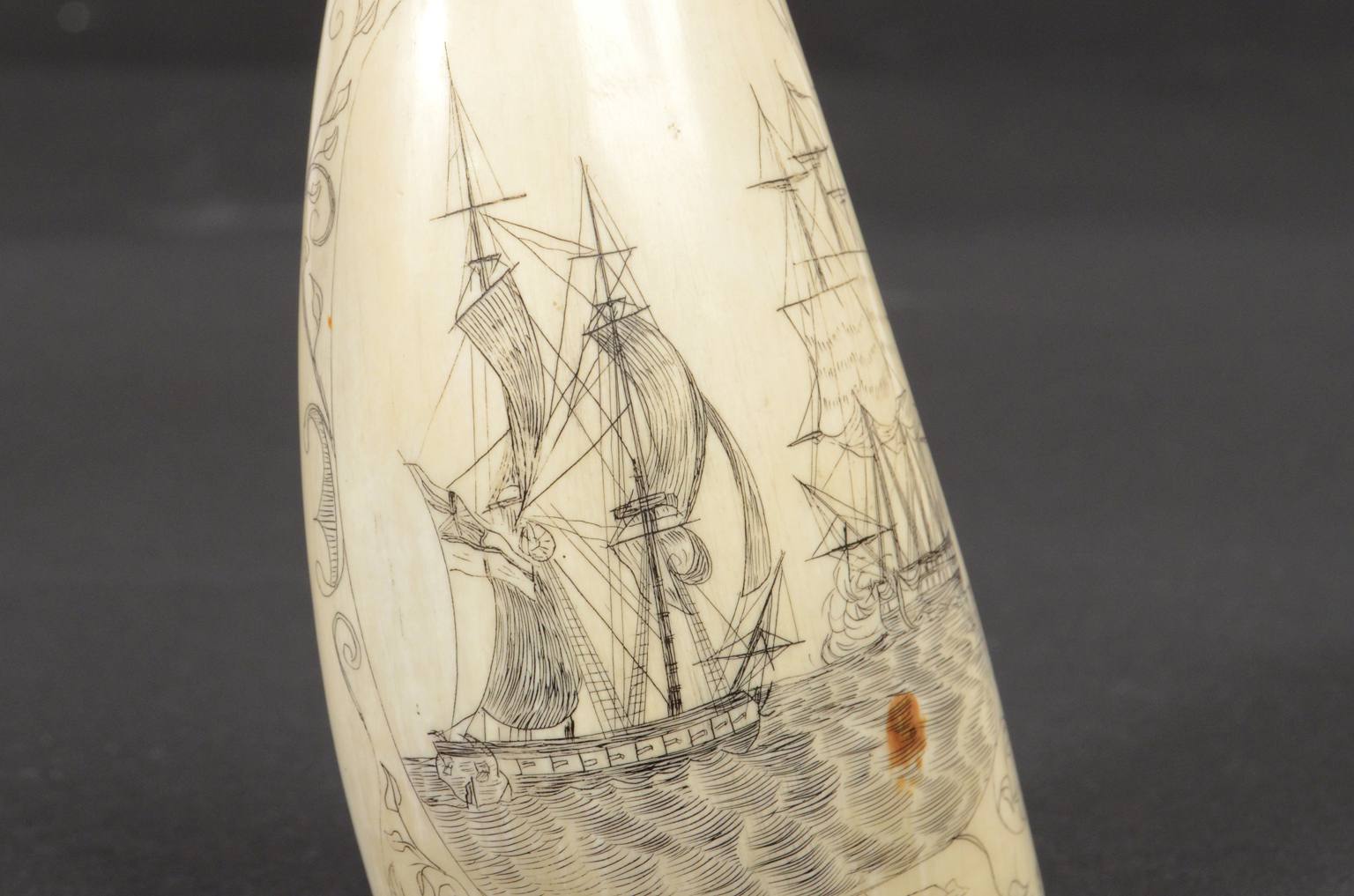 Antiquariato nautico/620B-Scrimshaw