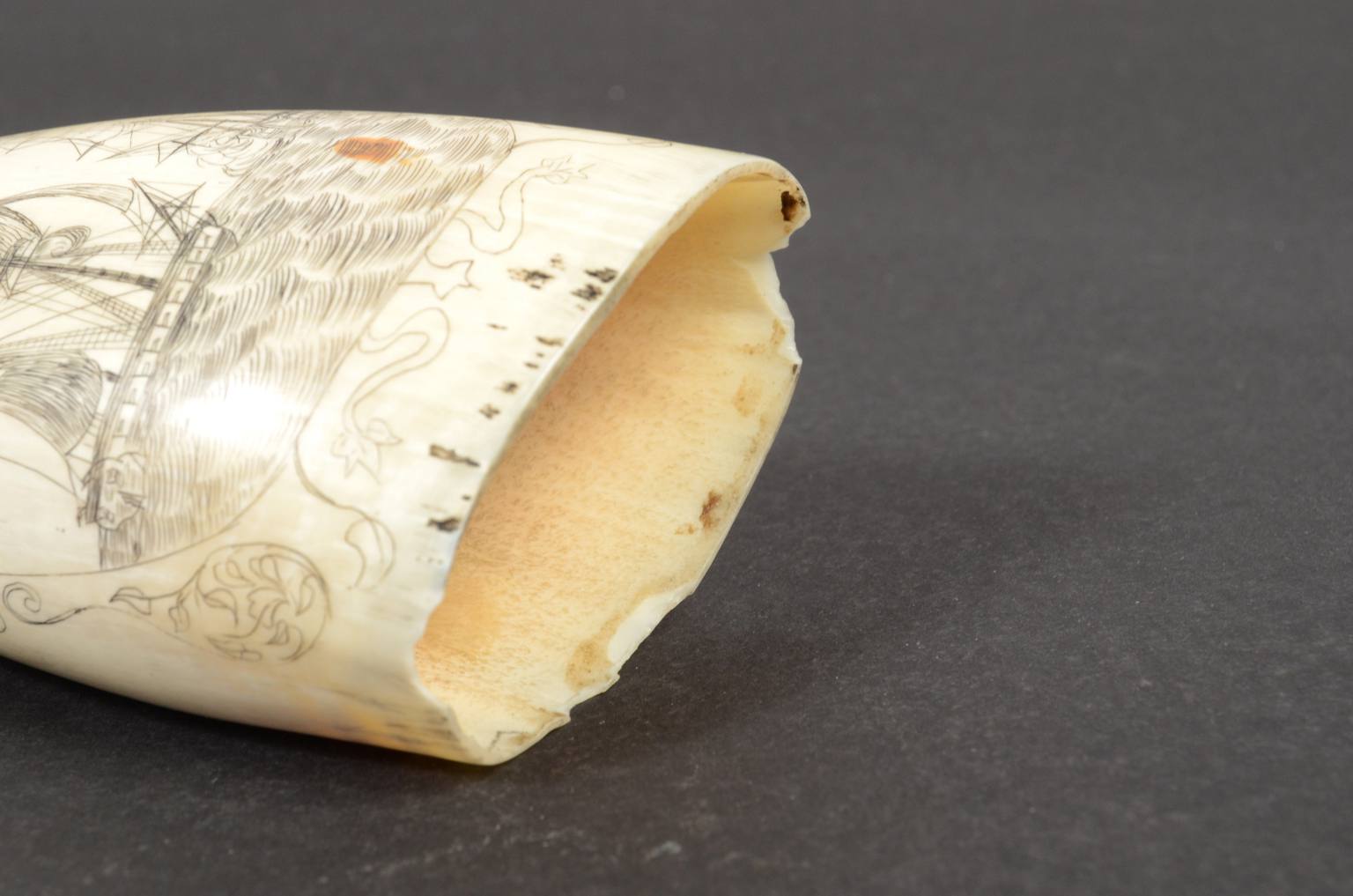 Antiquariato nautico/620B-Scrimshaw