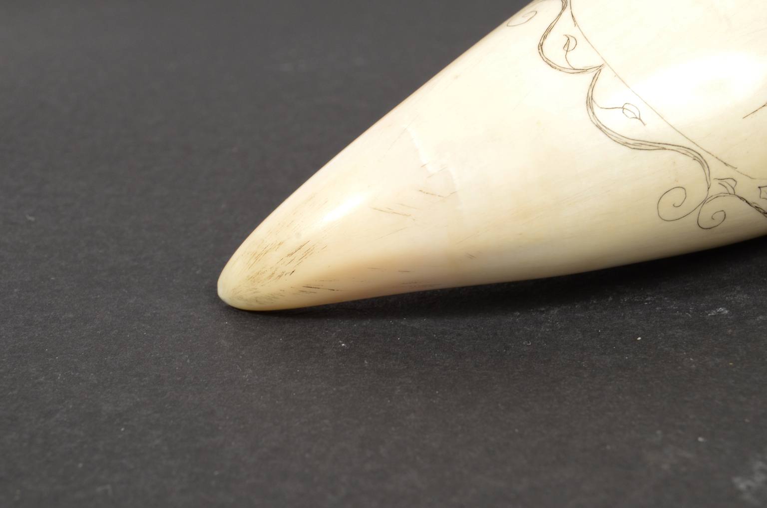 Antiquariato nautico/620B-Scrimshaw