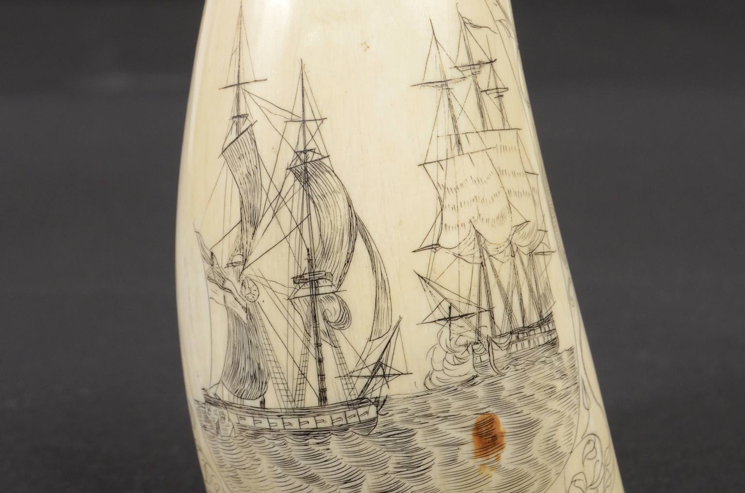 Antiquariato nautico/620B-Scrimshaw