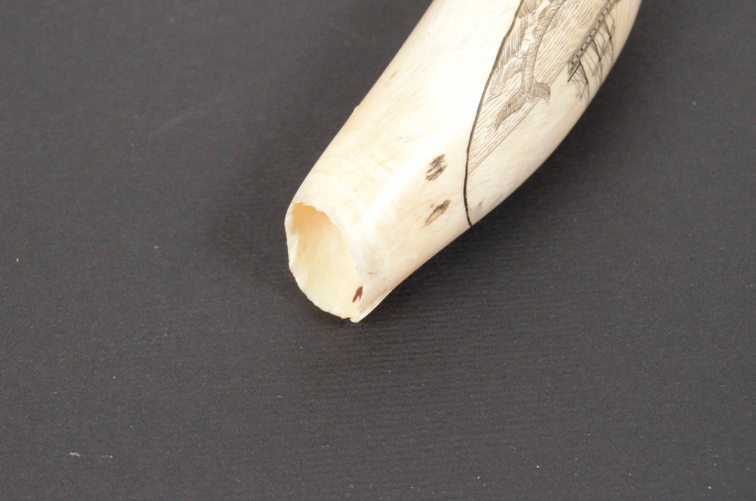 Nautical antiques/632-Scrimshaw