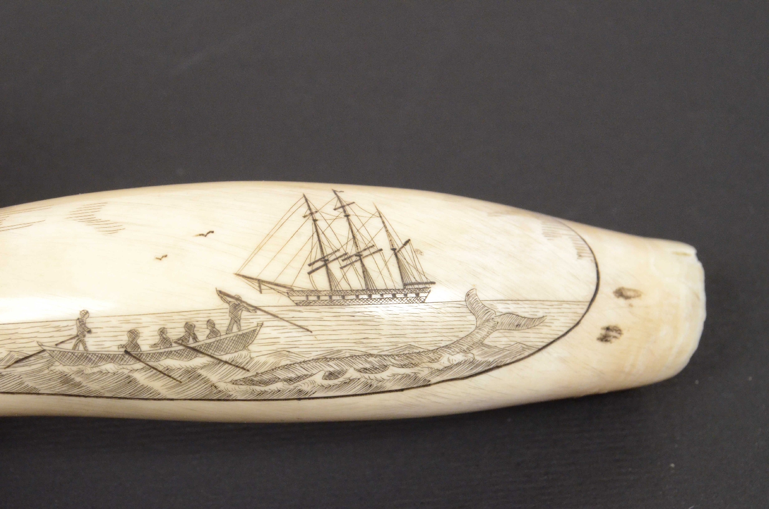 Nautical antiques/632-Scrimshaw