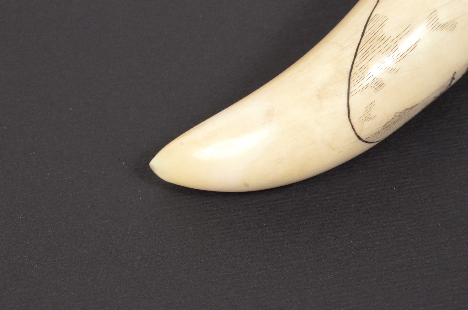 Nautical antiques/632-Scrimshaw