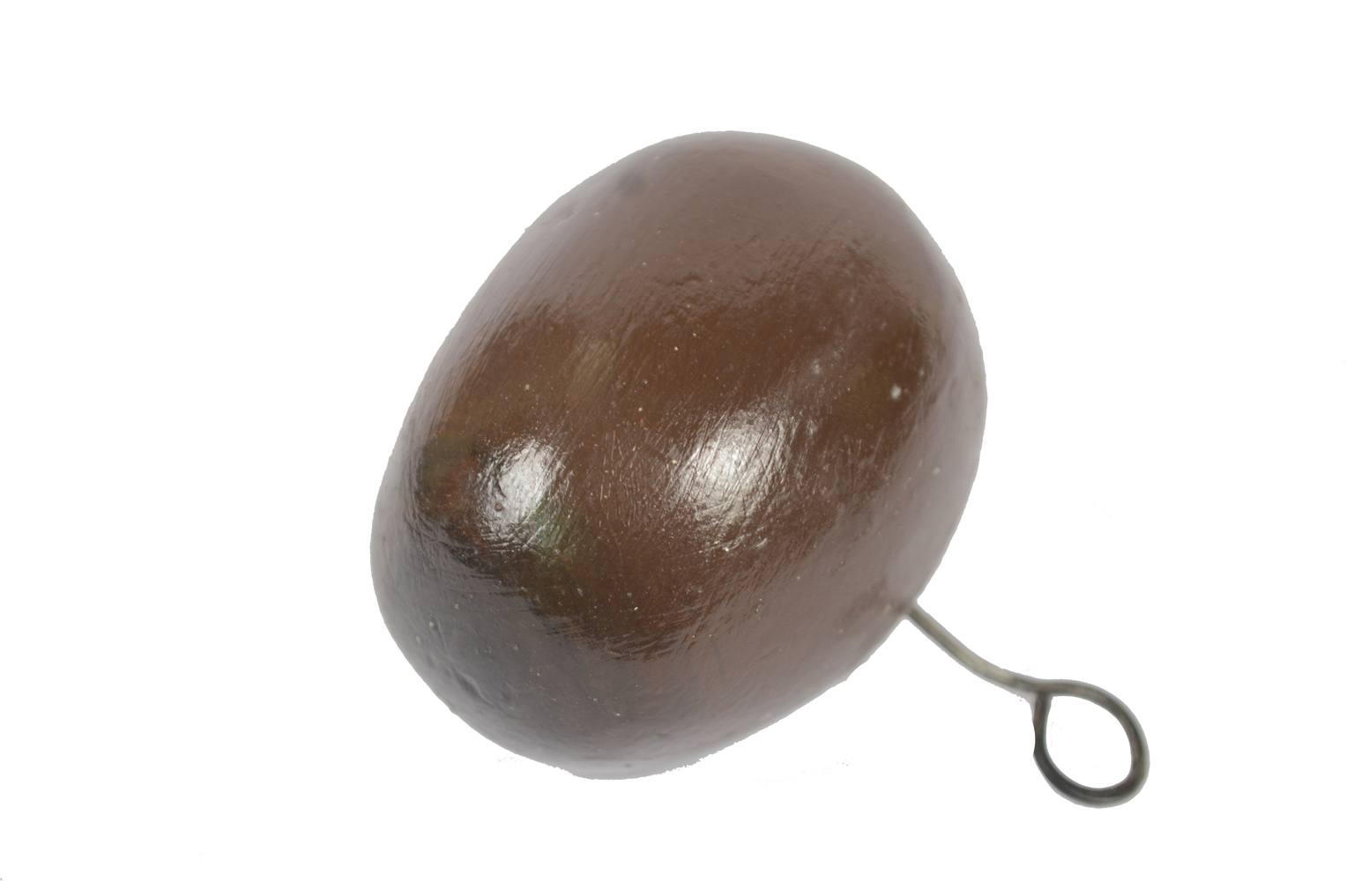 Storia naturale/6369-Modello Marchantia