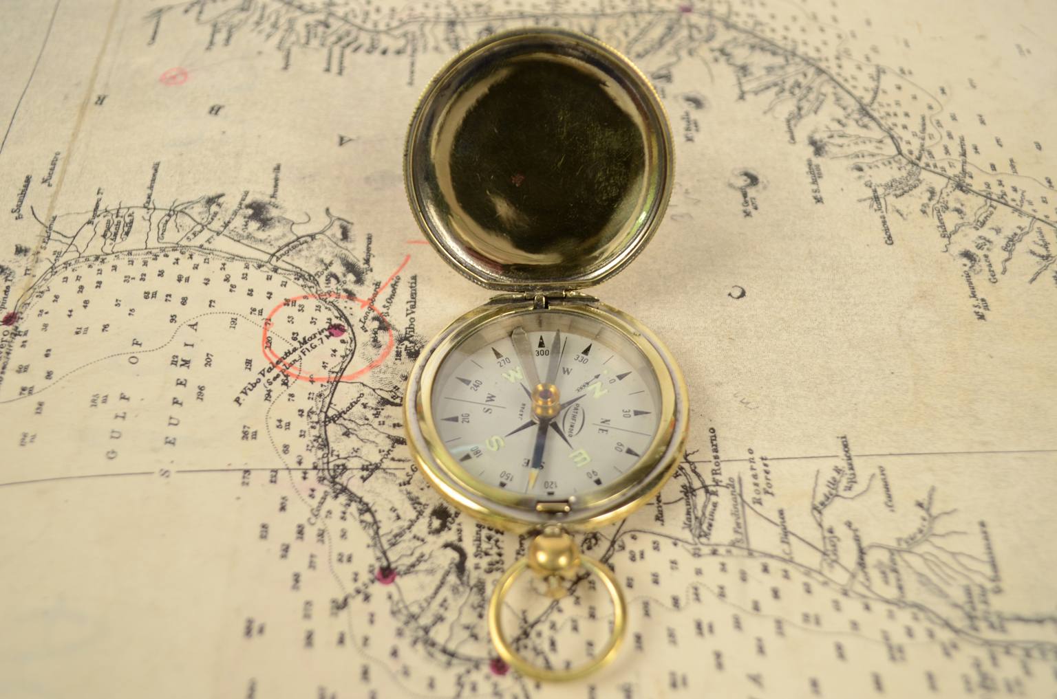 Antique compasses/6431B-Vintage compass