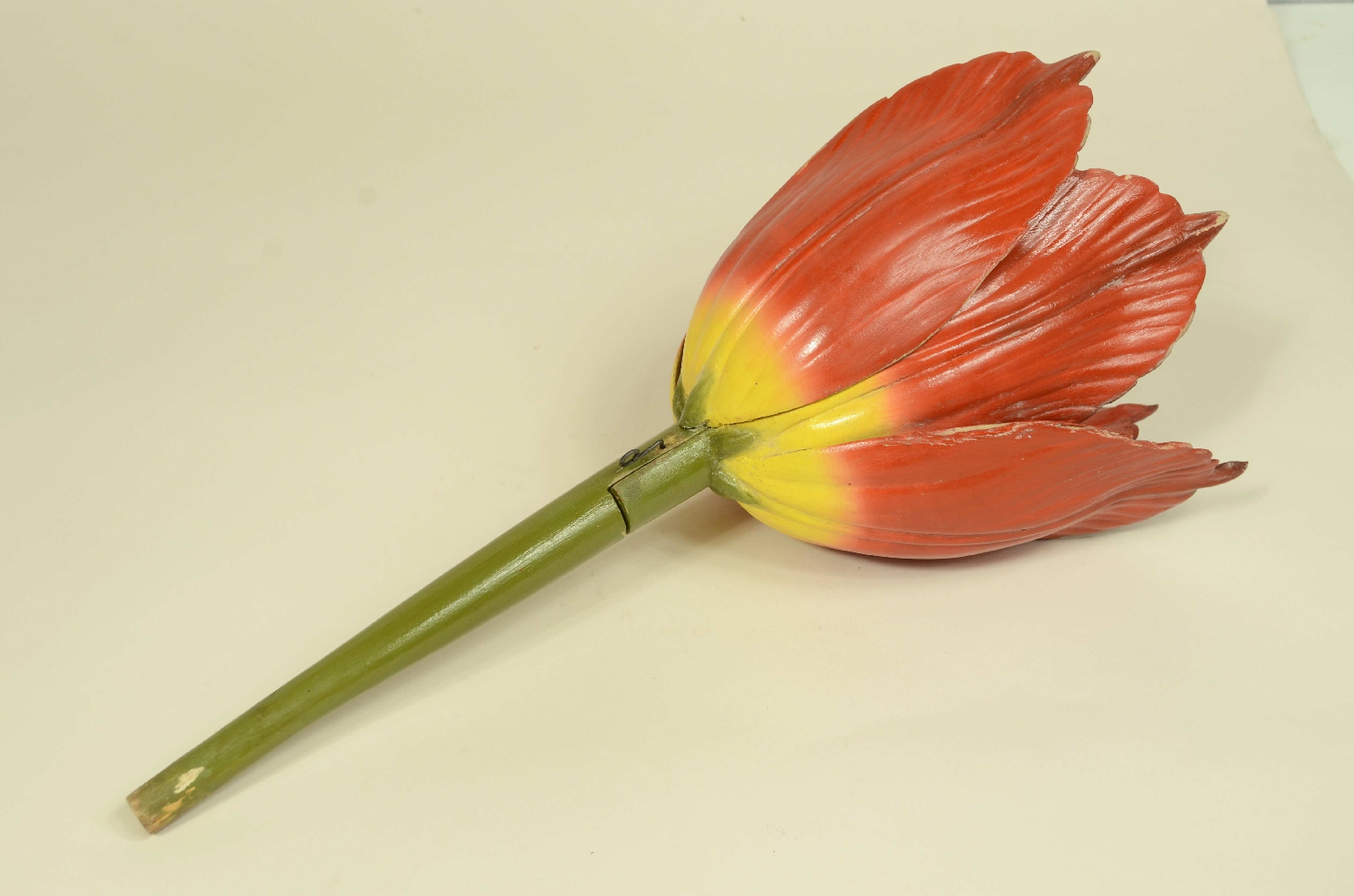 Natural history/704-Brende lTulip Model