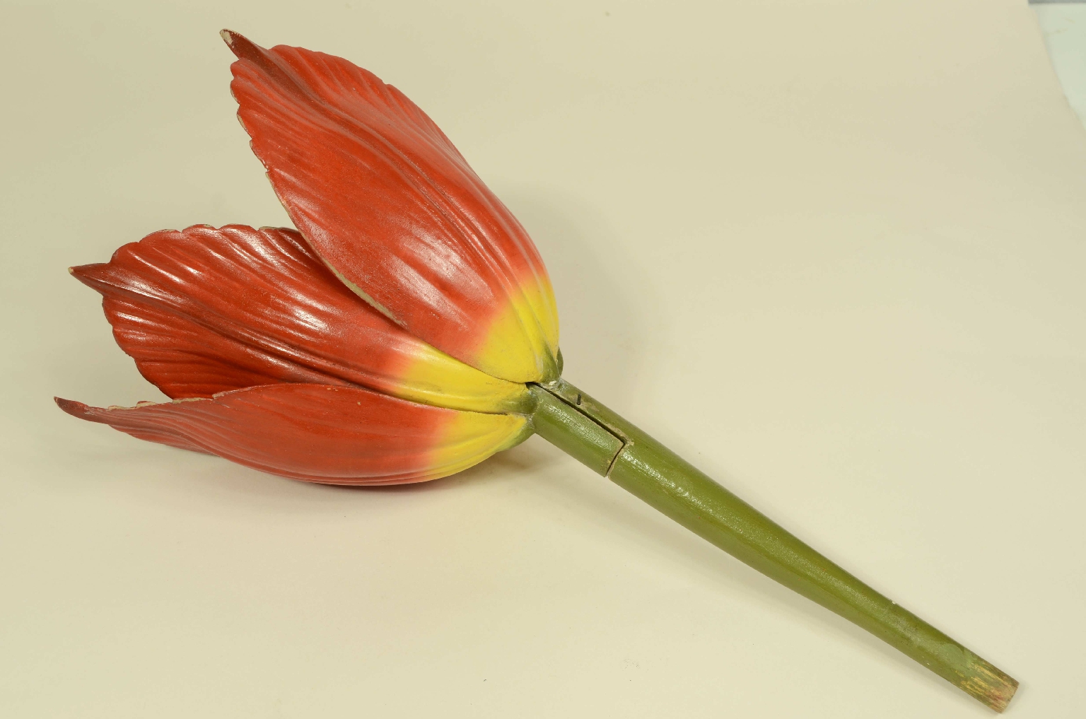 Natural history/704-Brende lTulip Model