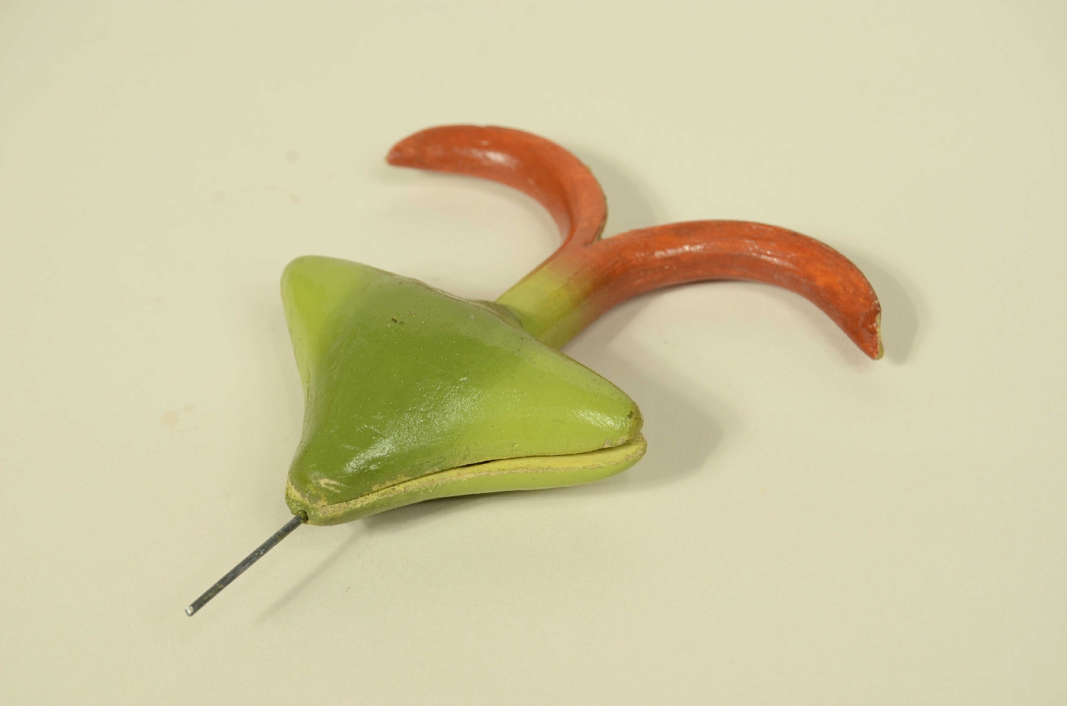 Natural history/704a-Botanical Model