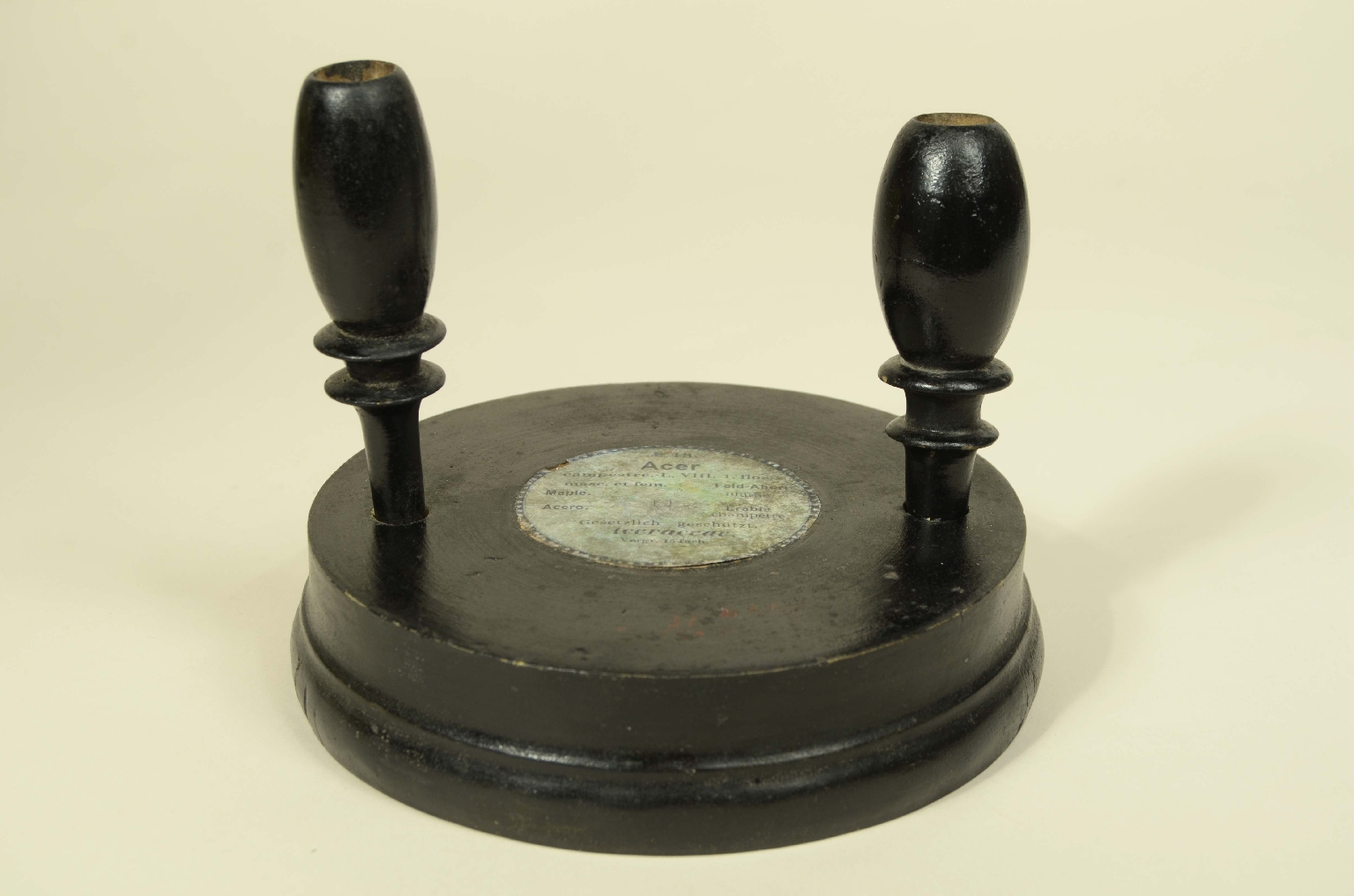 Natural history/704a-Botanical Model