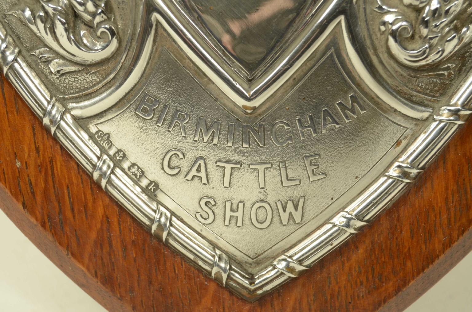 Peculiarity/724-Trophy Shield