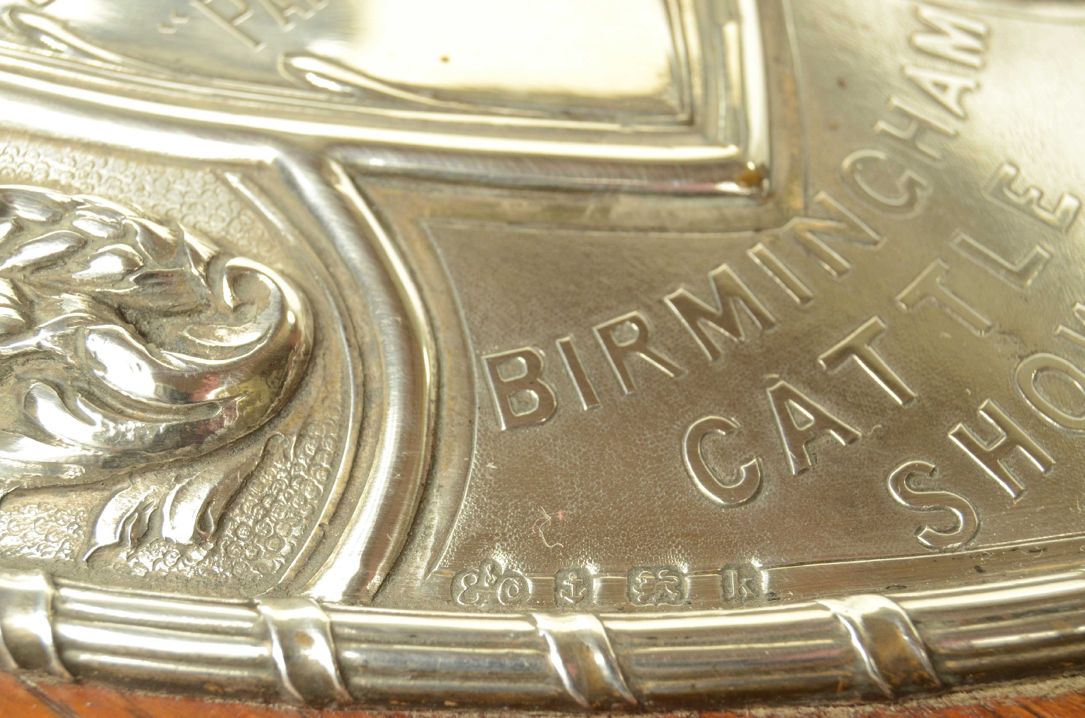 Peculiarity/724-Trophy Shield