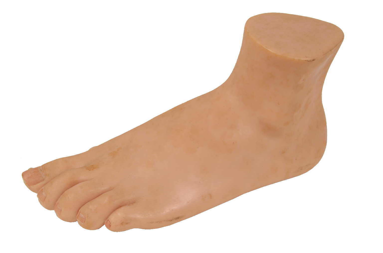 Strumenti medici d'epoca/7307-Piede Normale Modello