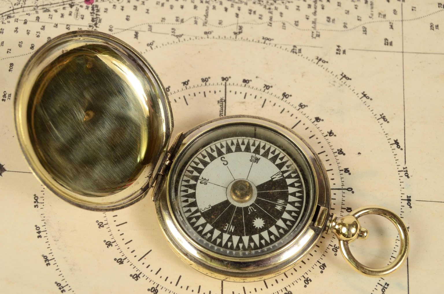 Antique compasses/7365-Pocket Compass